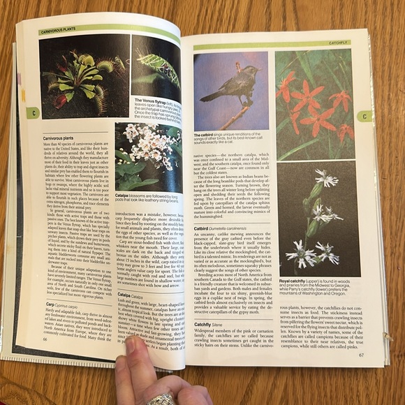 Nature in America - Reader’s Digest - Picture 5 of 8